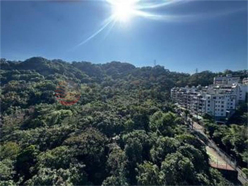 秒殺景安文匯山景兩房+車位